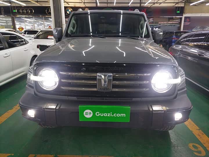 Фото 3 - Tank 300