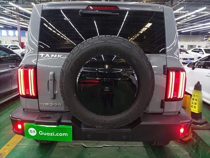 Фото 6 - Tank 300