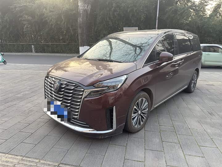 Фото 1 - Buick GL8 ES