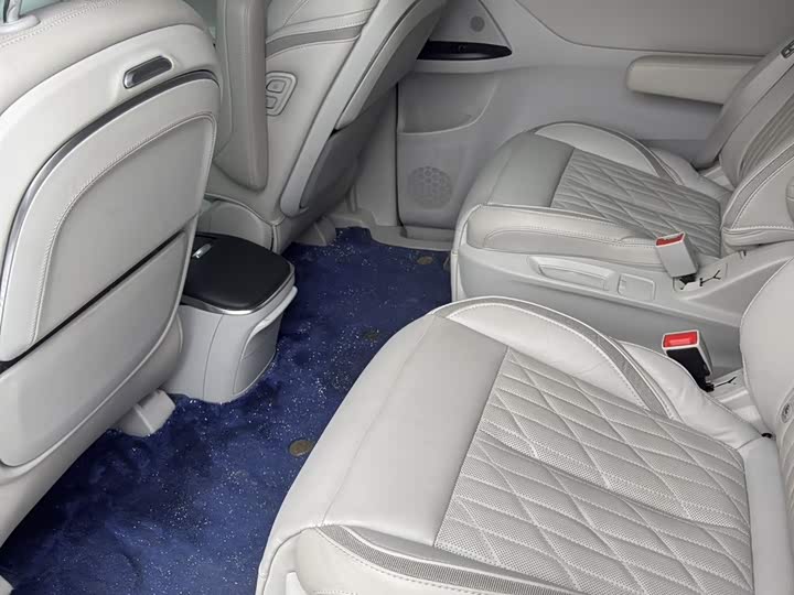 Фото 7 - Buick GL8 ES