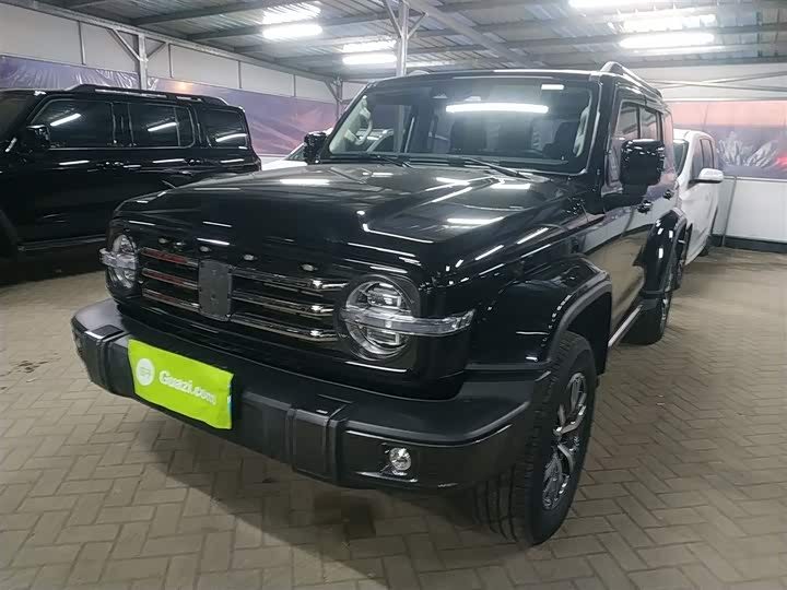 Фото 2 - Tank 300