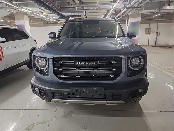 Фото 3 - Haval Dargo