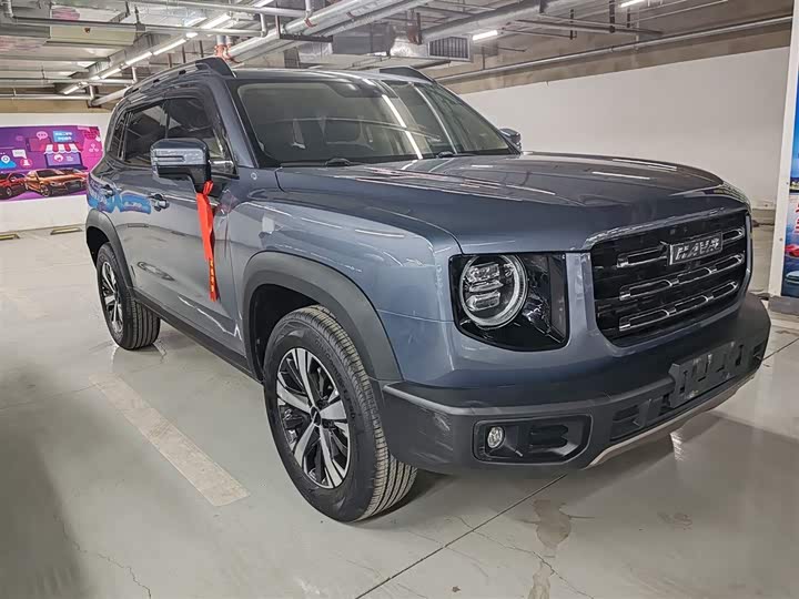 Фото 4 - Haval Dargo