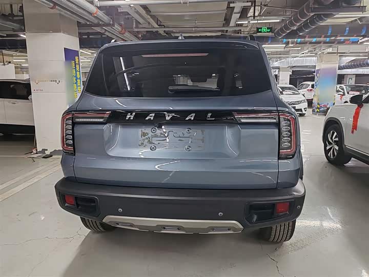 Фото 6 - Haval Dargo