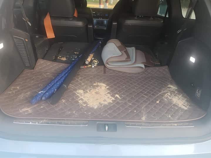 Фото 4 - LiXiang One