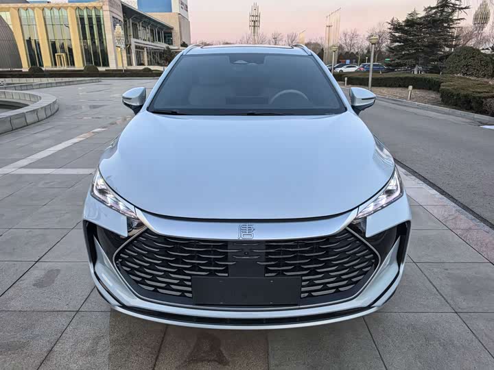 Фото 1 - BYD Tang Hybrid/EV