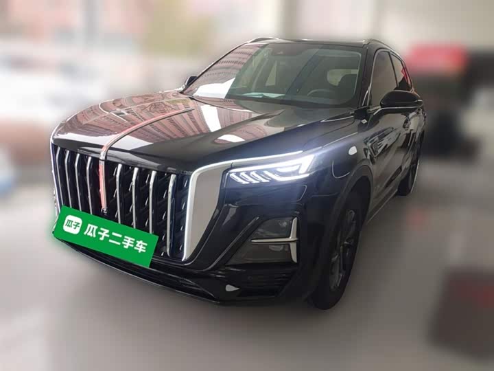 Фото 2 - Hongqi HS5