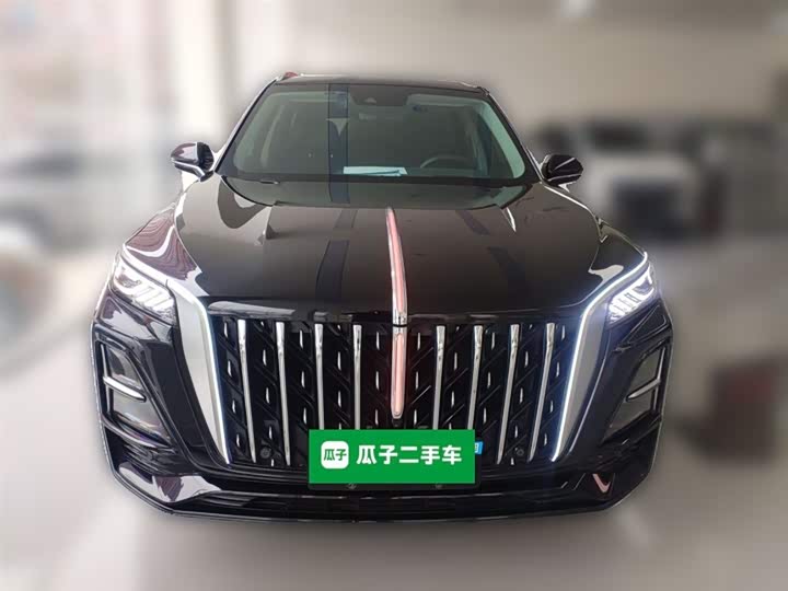 Фото 4 - Hongqi HS5