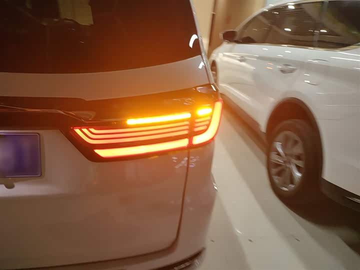 Фото 8 - Honda Elysion