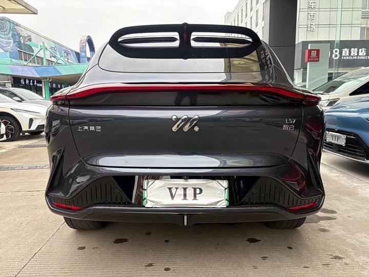 Фото 6 - IM motors LS7