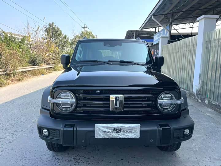 Фото 2 - Tank 300