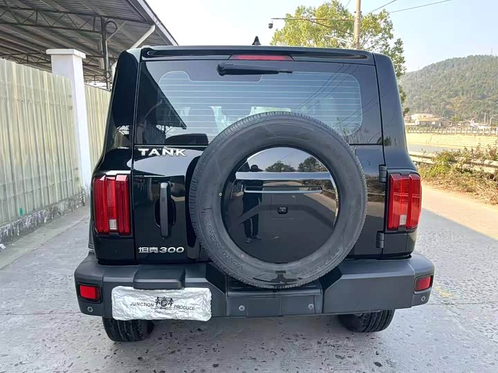 Фото 8 - Tank 300