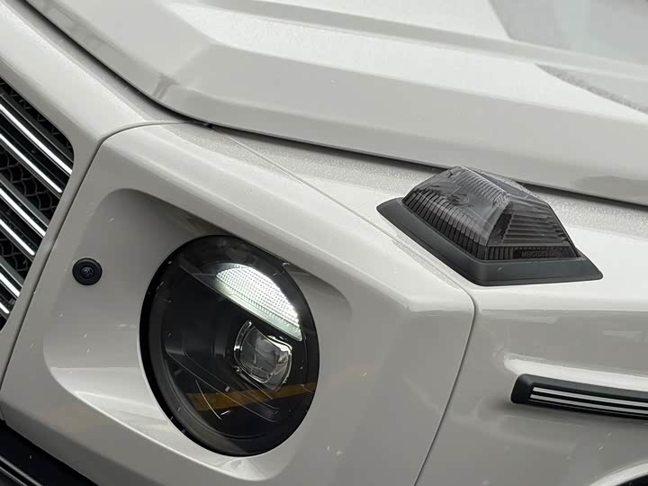 Фото 9 - Mercedes-Benz G-Class