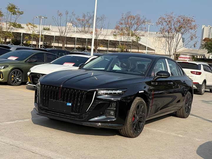 Фото 1 - Hongqi H5