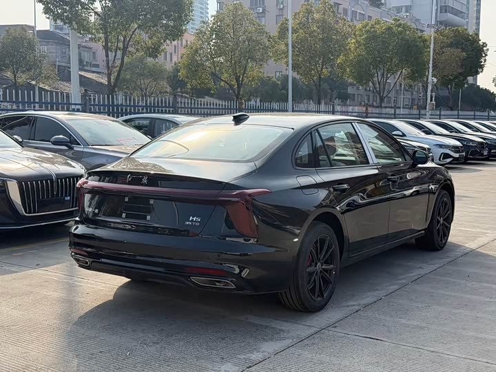 Фото 4 - Hongqi H5