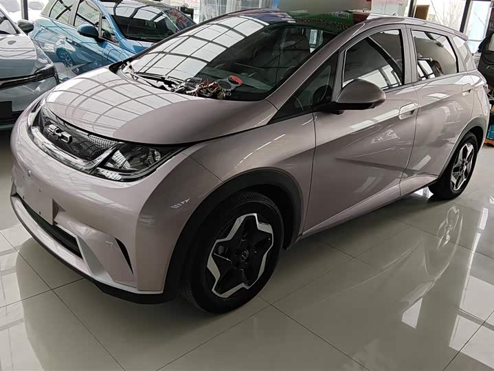 Фото 1 - BYD Dolphin