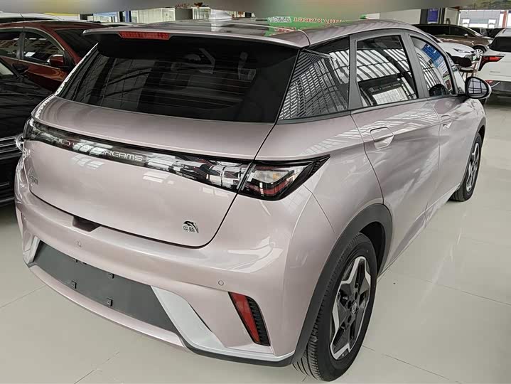 Фото 3 - BYD Dolphin