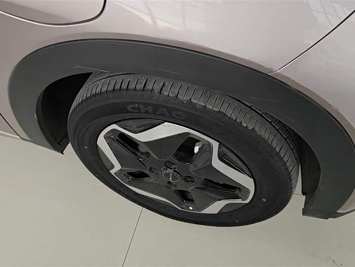 Фото 6 - BYD Dolphin