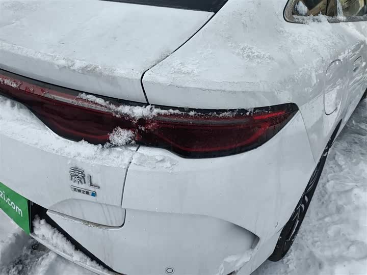 Фото 8 - BYD Qin L