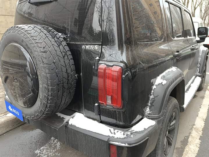 Фото 3 - Tank 300