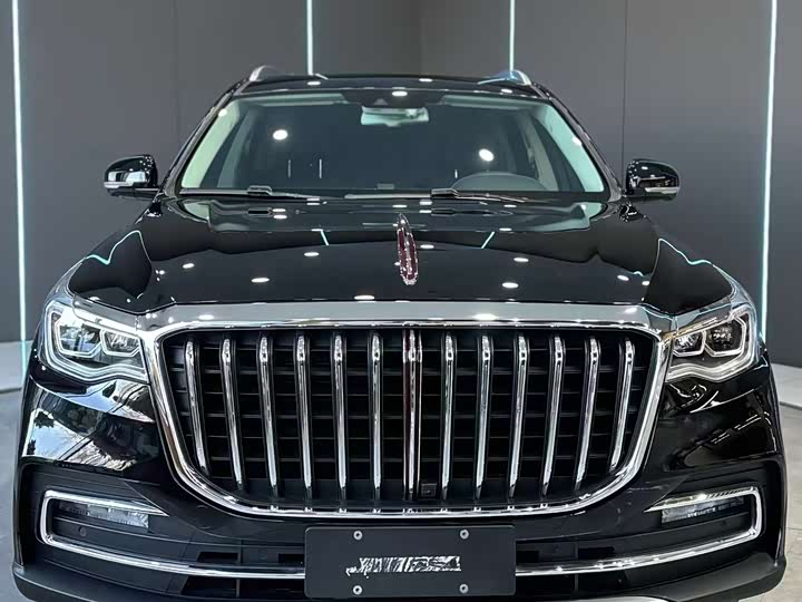 Фото 2 - Hongqi HS7