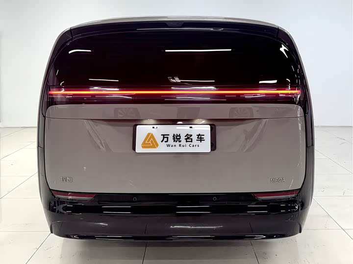 Фото 4 - LiXiang Mega