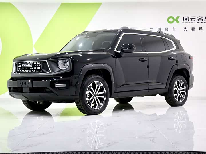 Фото 1 - Haval H-Dog