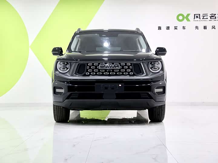 Фото 2 - Haval H-Dog