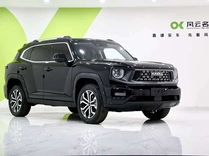 Фото 3 - Haval H-Dog