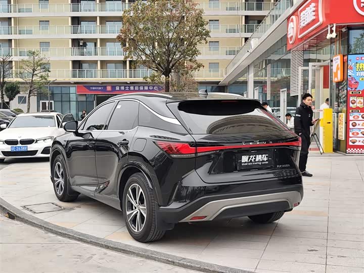 Фото 9 - Lexus RX