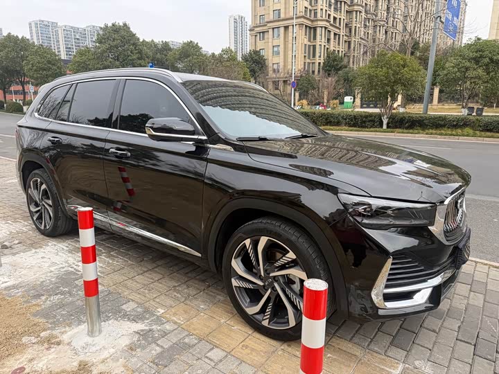 Фото 3 - Geely Monjaro