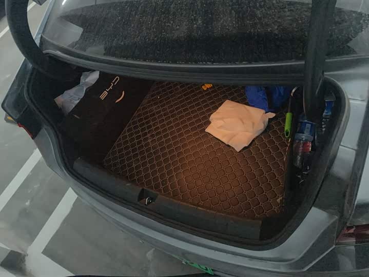 Фото 4 - BYD Qin Plus