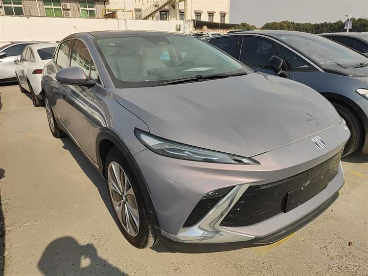 Фото 4 - Buick Electra E4