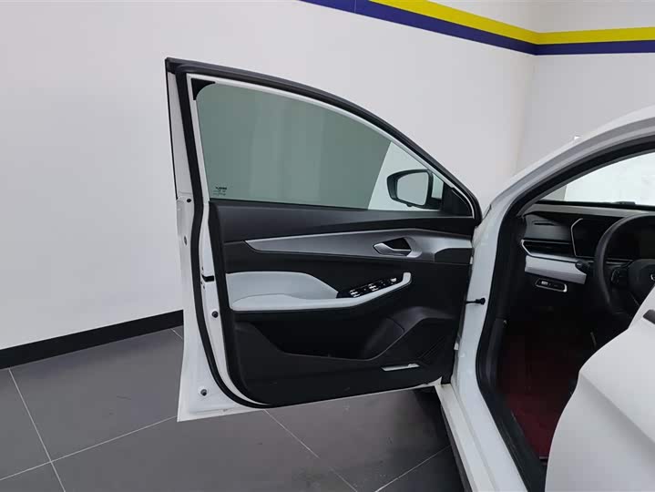 Фото 7 - Geely Binrui