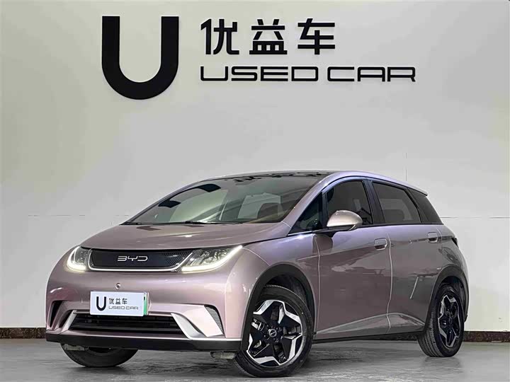 Фото 1 - BYD Dolphin