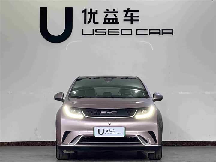 Фото 2 - BYD Dolphin