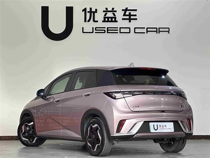 Фото 7 - BYD Dolphin