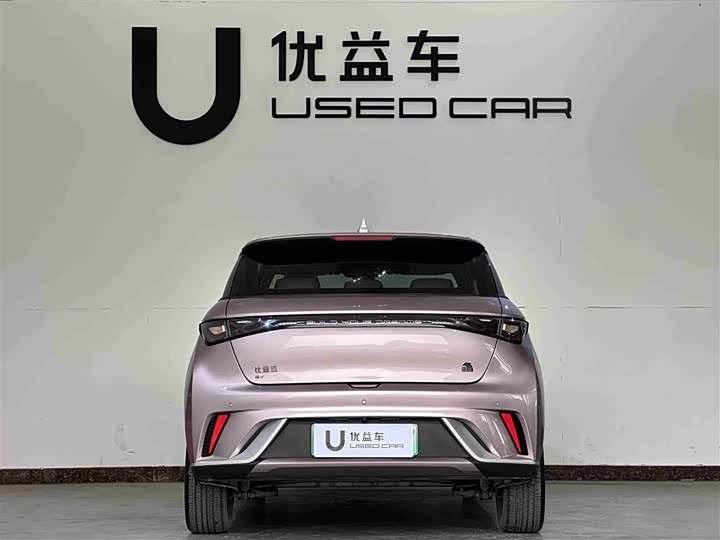 Фото 8 - BYD Dolphin