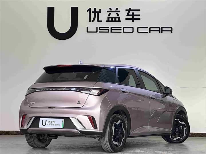 Фото 9 - BYD Dolphin