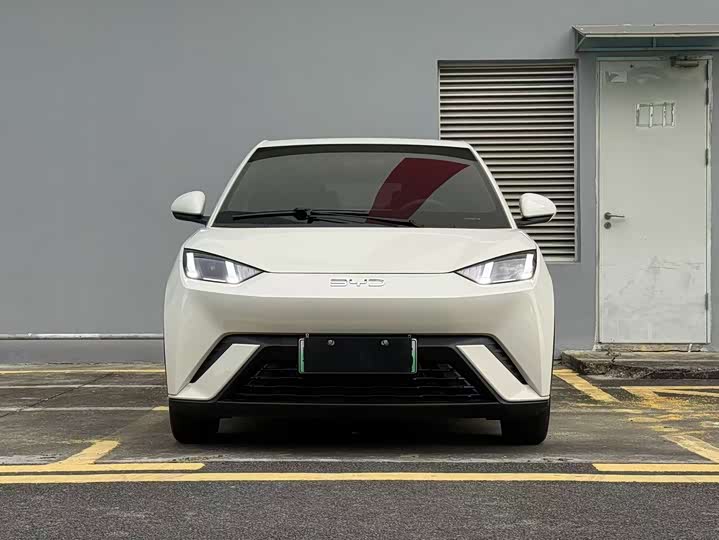 Фото 2 - BYD Seagull