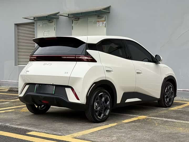 Фото 4 - BYD Seagull