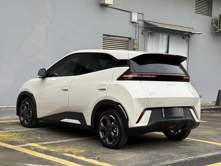 Фото 7 - BYD Seagull