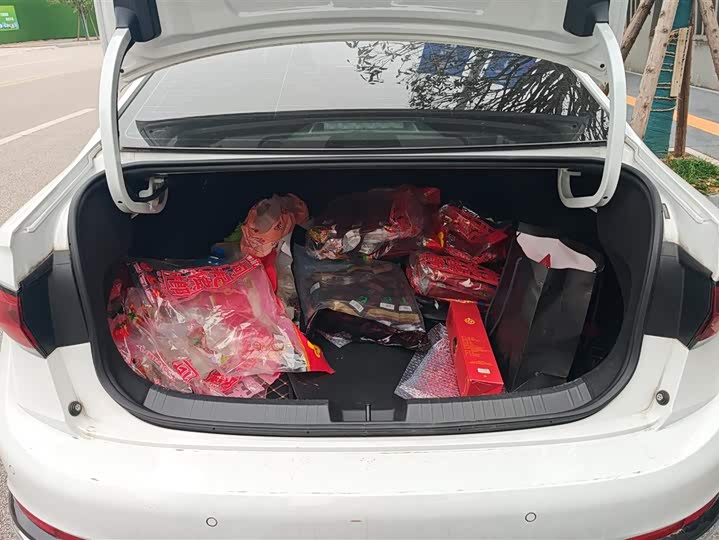 Фото 4 - Volkswagen Sagitar L