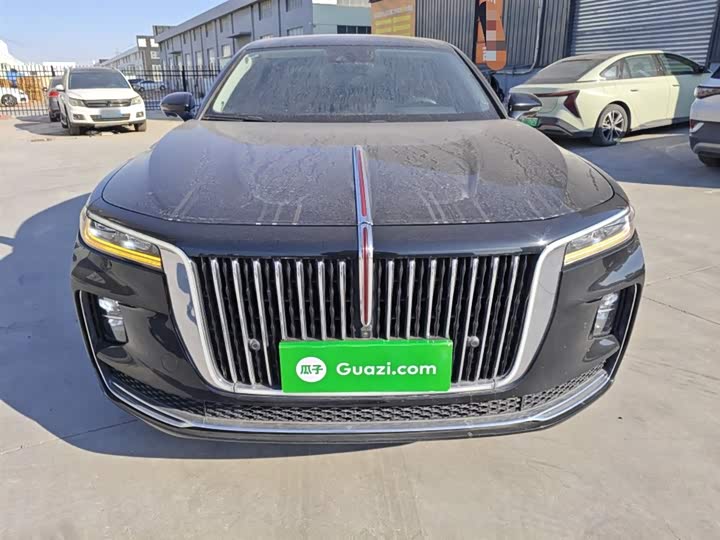 Фото 3 - Hongqi H9