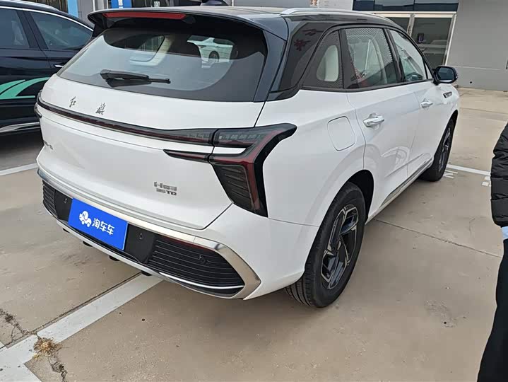 Фото 3 - Hongqi HS3