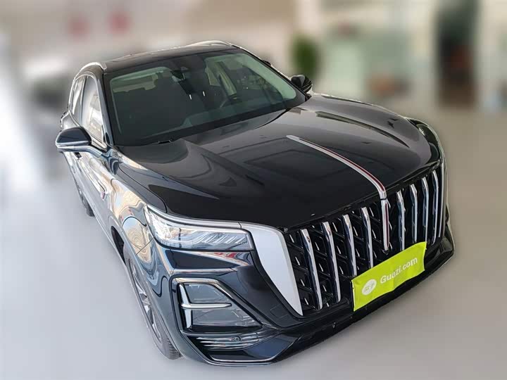 Фото 7 - Hongqi HS5