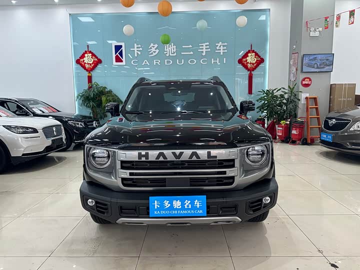 Фото 3 - Haval Dargo