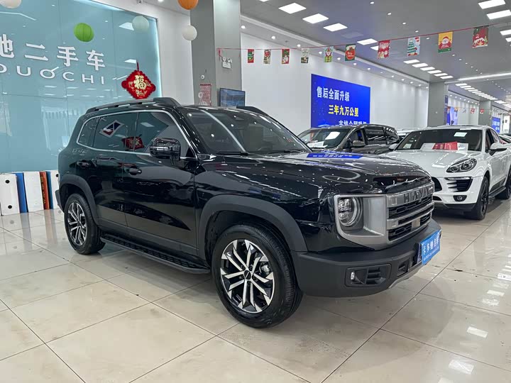 Фото 4 - Haval Dargo