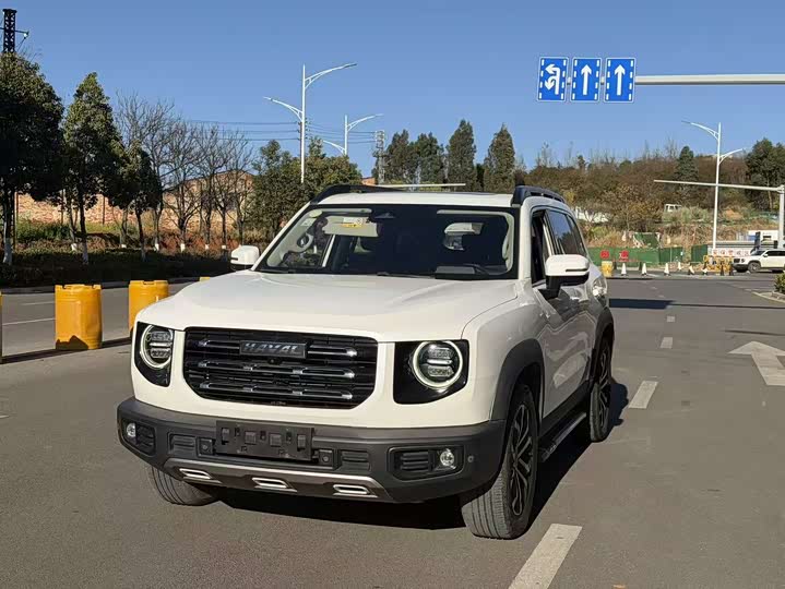 Фото 1 - Haval Dargo