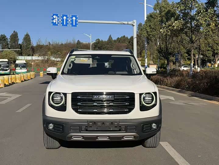 Фото 2 - Haval Dargo